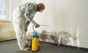 Mold Remediation for Rental Properties in Bethel Acres, OK