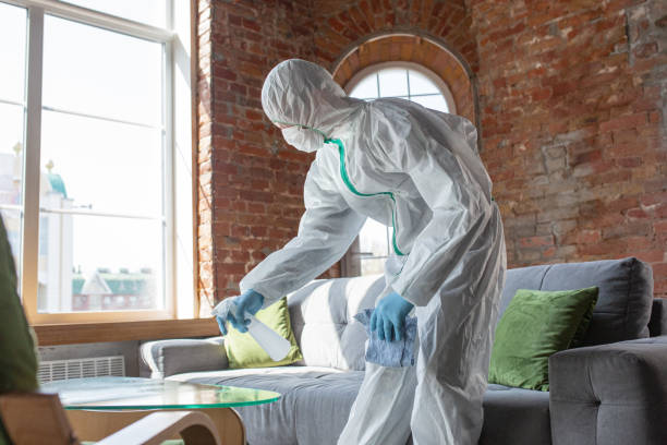 Best Mold Prevention Services  in Bethel Acres, OK