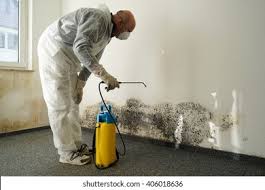 Best Industrial Mold Remediation  in Bethel Acres, OK